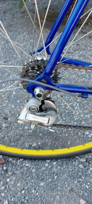 Bicicleta Clásica de Carretera Vicini