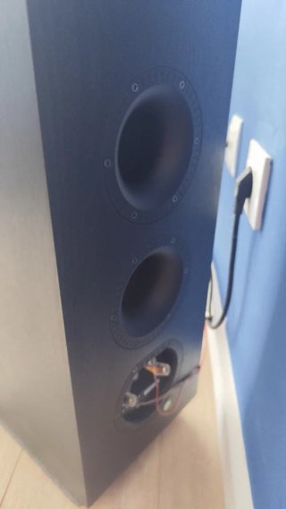 Altavoces de pie Numan Reference 801 Negros