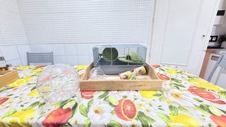 Jaula Hámster KIWOKO + Accesorios lúdicos y comida