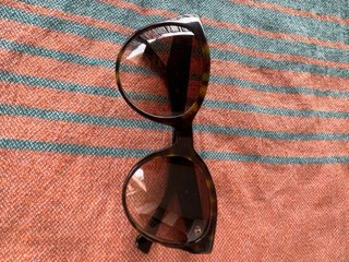 Occhiali da sole Emporio Armani donna marroni