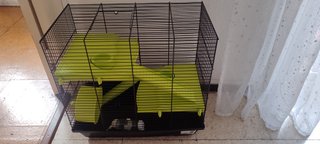 Jaula para hámster con accesorios