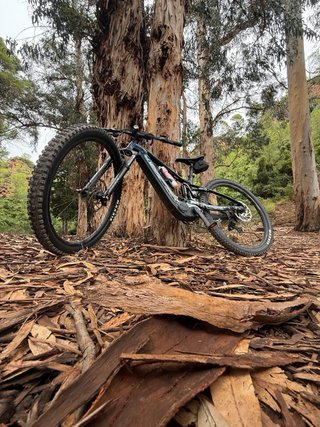 Bicicleta Eléctrica Liv Embolden E+ 2  No rebaja