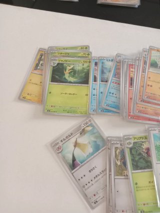 Lote 38 Cartas Pokémon Japonesas Comunes