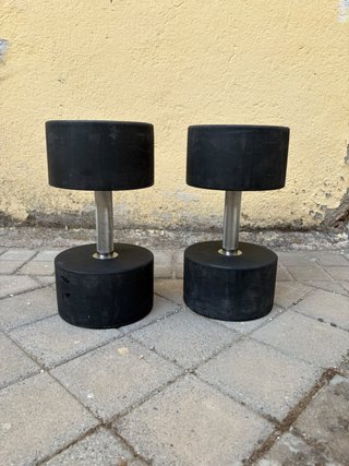 Mancuernas ( Pesas) Salter 40 kg (2 unidades)