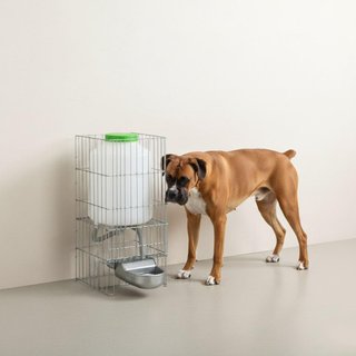 Bebedero automático 8L para perros