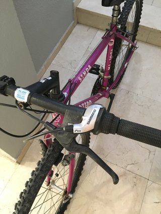 Bicicleta Morada