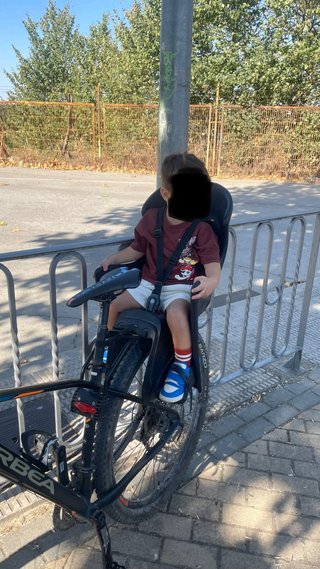 Silla trasera para bicicleta Dieffe