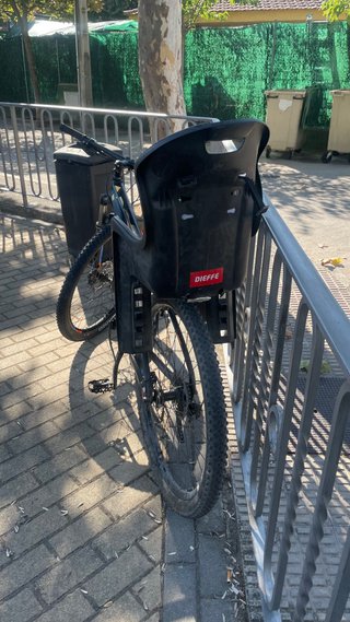 Silla trasera para bicicleta Dieffe