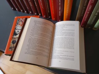 Lote 18 Libros Lindsey Davis
