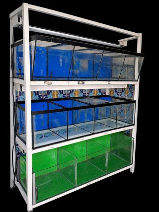 Acuario expositor
