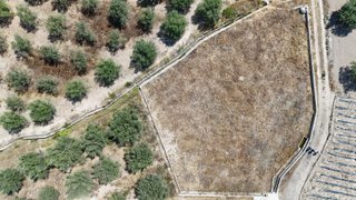 PARCELA RUSTICA MUY PROXIMA A PUEBLO DE LIRIA