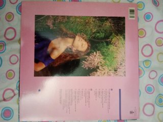 Lote 4 Vinilos Música Española 80s-90s