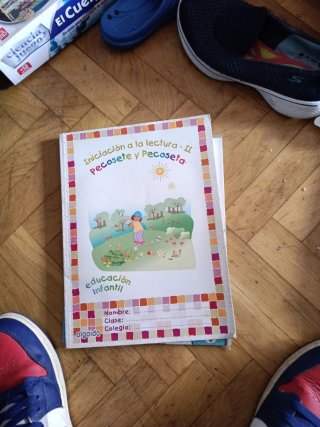 Libros variados de Primaria