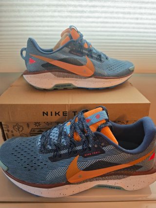 Nike Pegasus Trail 45 Zapatillas Running Hombre