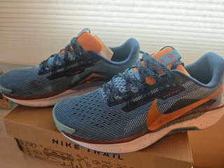 Nike Pegasus Trail 45 Zapatillas Running Hombre