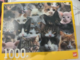 Puzzle 1000 piezas gatos