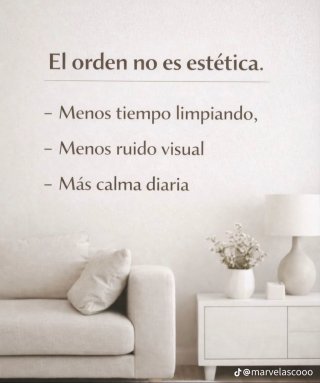 Limpieza y oraganizacion por horas.