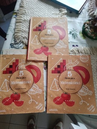 Libro escolar matemáticas quinto de primaria