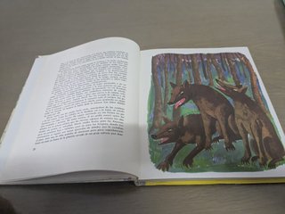 Pack Libros antiguos