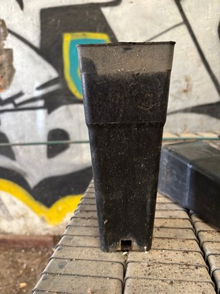 Bandejas Forestales Rígidas Usadas