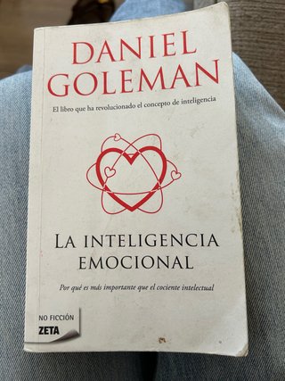 La Inteligencia Emocional