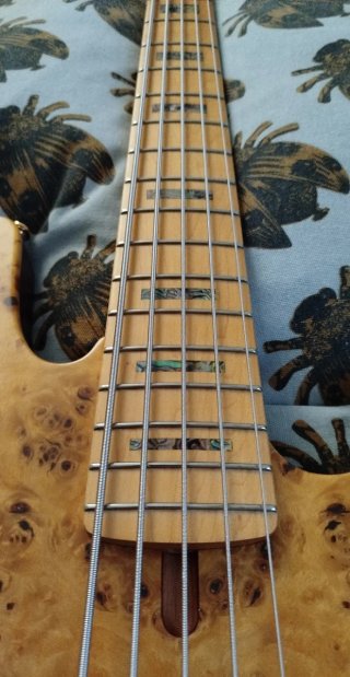 Sire V10 5 Cuerdas (venta-cambio)