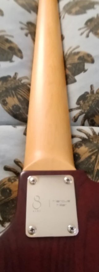 Sire V10 5 Cuerdas (venta-cambio)