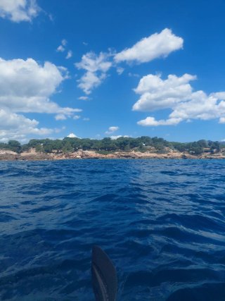 Kayak tiene los extras para pesca hasta 5 cañas