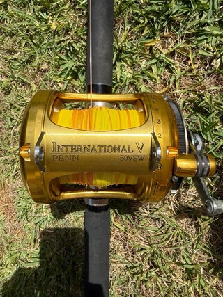 2 Carretes Penn International 50VSW + Cañas Shiman