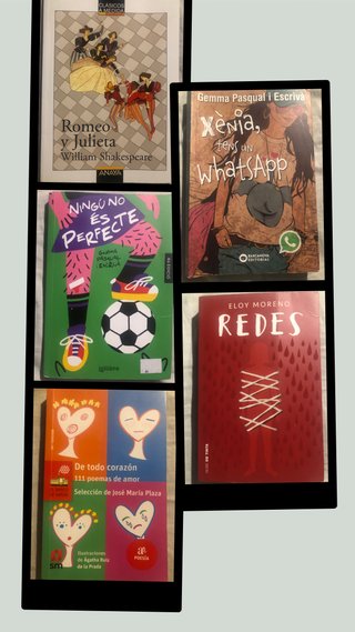 5 libros de ESO o por separado