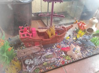Acuario de cristal con accesorios