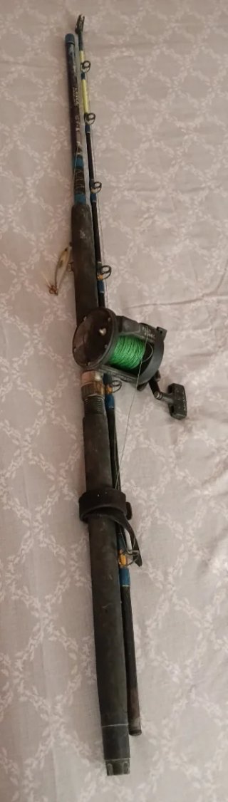 Caña de pescar con carrete y señuelo