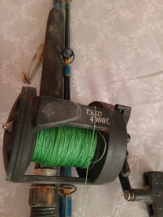 Caña de pescar con carrete y señuelo