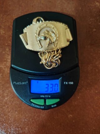 Esclava Oro 18k Caballo Herradura 33g