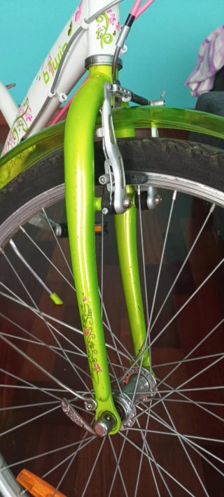 BICICLETA NIÑA