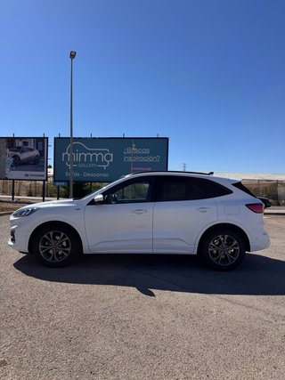 Ford Kuga ST-Line 2.5 Hybrid 190 CV Auto ECO | HUD