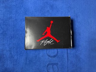 Air Jordan 4 Retro Frozen Moments