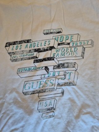Camiseta Guess Eco