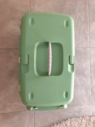 Transportín Gato Verde y Blanco