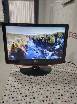 Monitor LG Flatron 19" pulgadas con mando.
