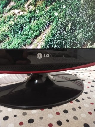 Monitor LG Flatron 19" pulgadas con mando.