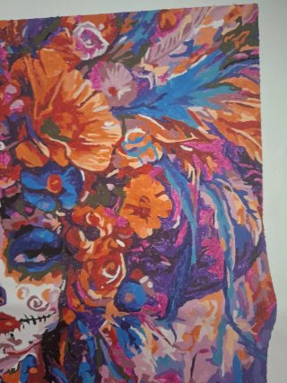 Pintura por números Día de Muertos