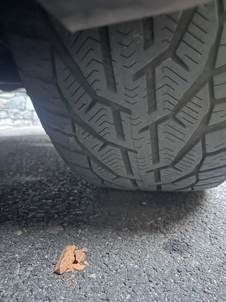Llantas con Neumáticos de Nieve de  Citroën C5