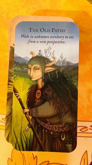 Oráculo Forest Fae Nadia Turner