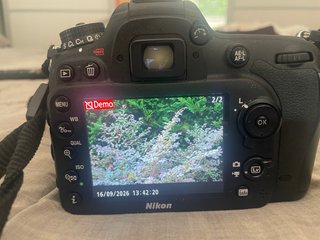 Cámara Nikon con objetivo