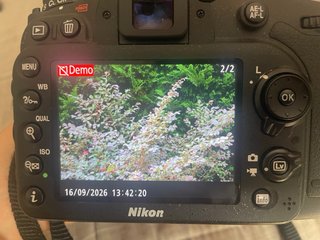 Cámara Nikon con objetivo