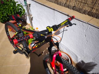 Bicicleta Icaro Torpado