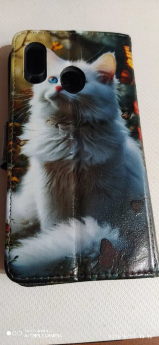Custodia per Samsung Galaxy A40 Gatto Blu