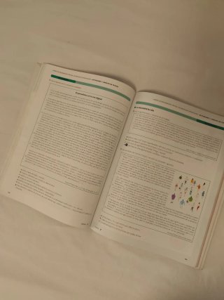 Lengua castellana y literatura 1, Le Bachillerato