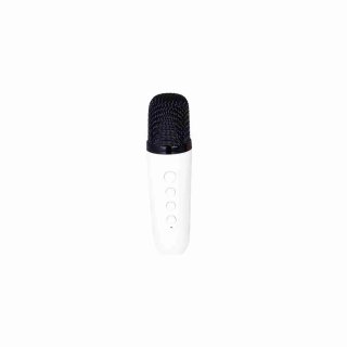 Altavoz Karaoke Portátil Klack BT-K8